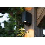 in-lite | ACE Up-Down Dark | Wandlamp Buiten